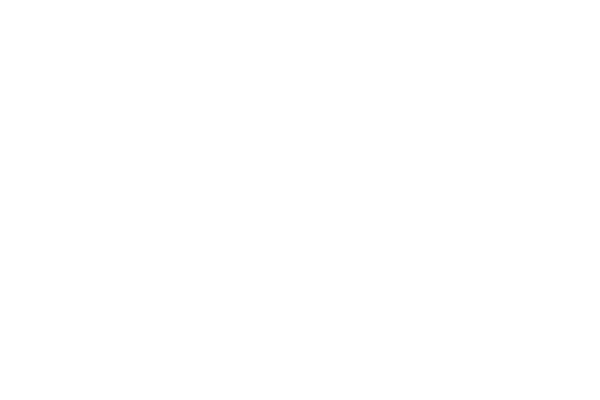 LowBuil Low cost & High Quality